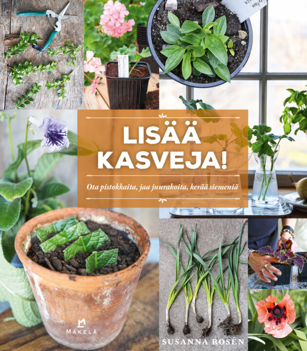 Lisää kasveja!