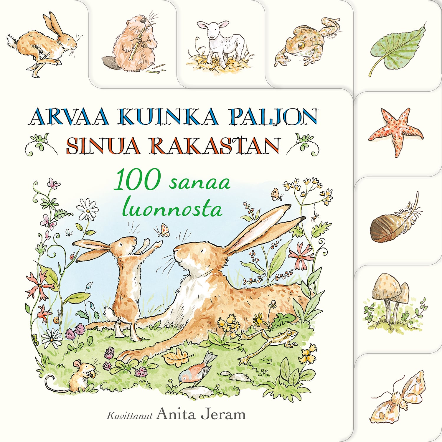 100 sanaa luonnosta